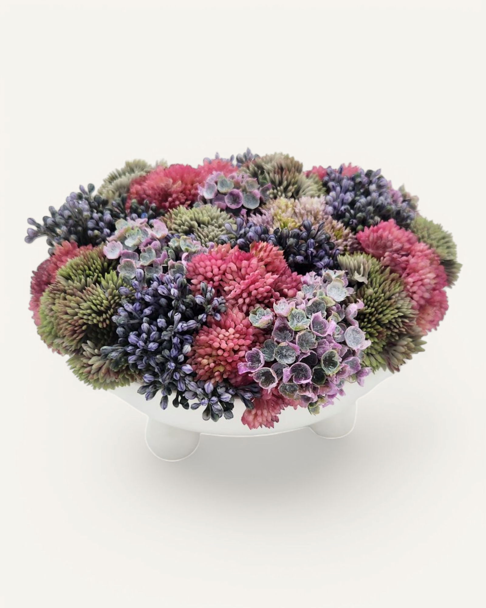 VIBRANT SEDUM ARRANGEMENT Viv LaRose vibrant-sedum-arrangement-viv-larose