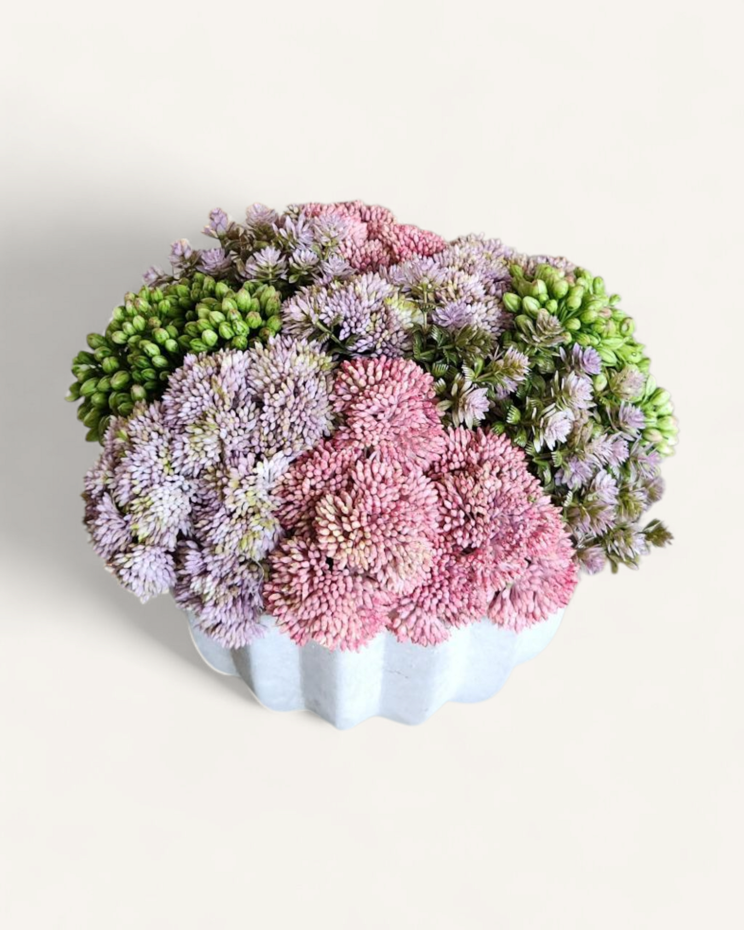 ABIGAIL PLEATED SEDUM