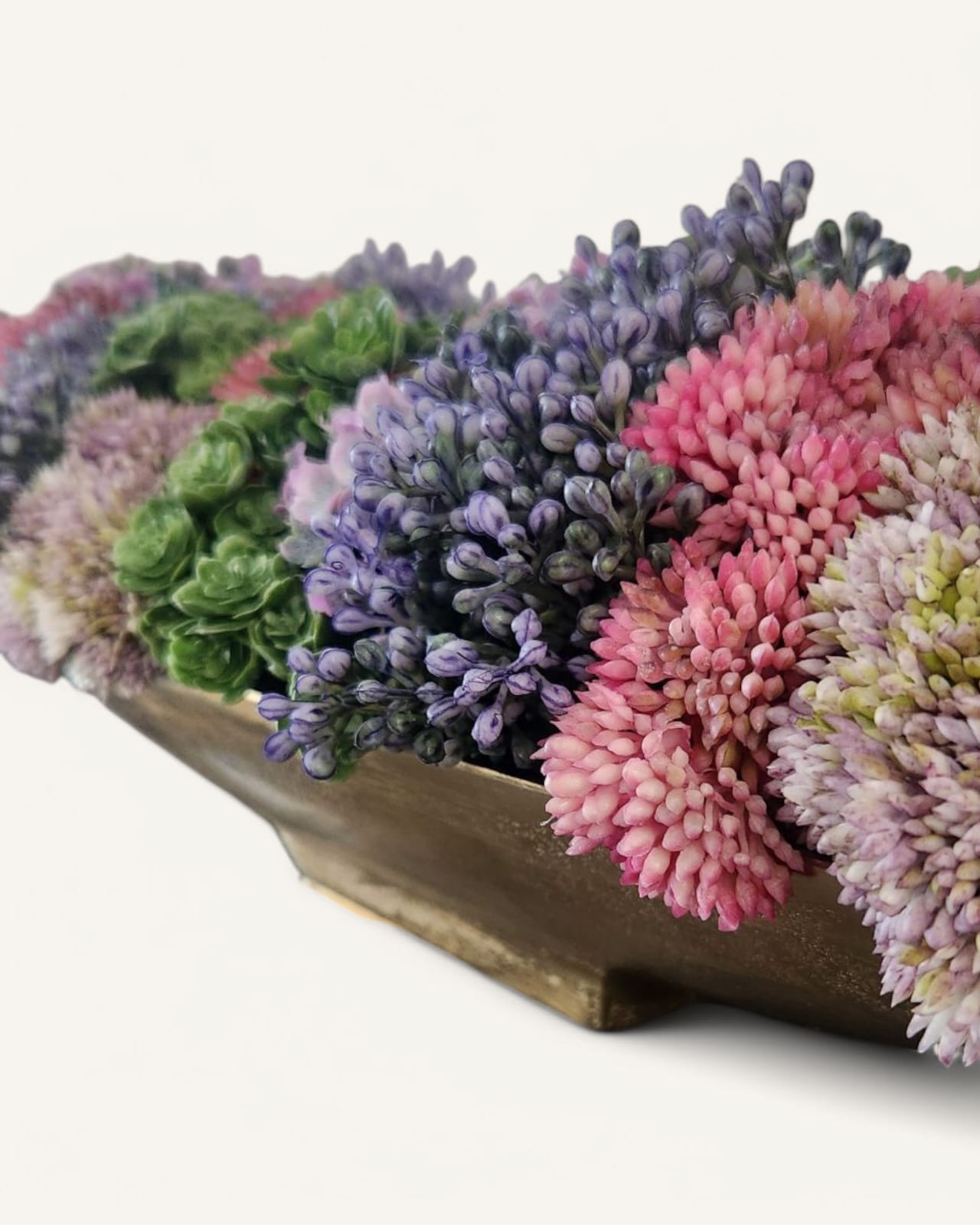 LISA SEDUM BOAT