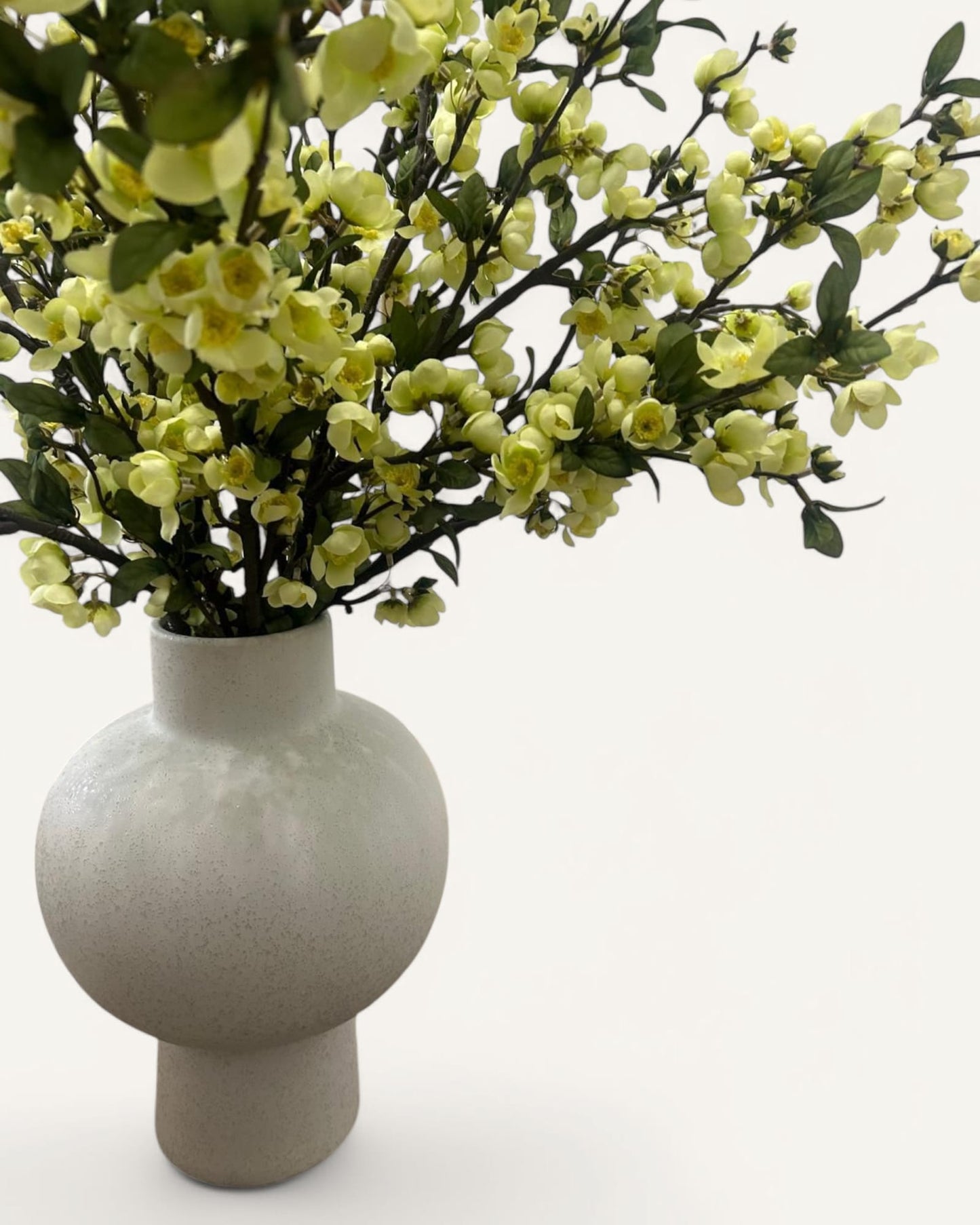 LEO VIBRANT CHERRY BLOSSOMS