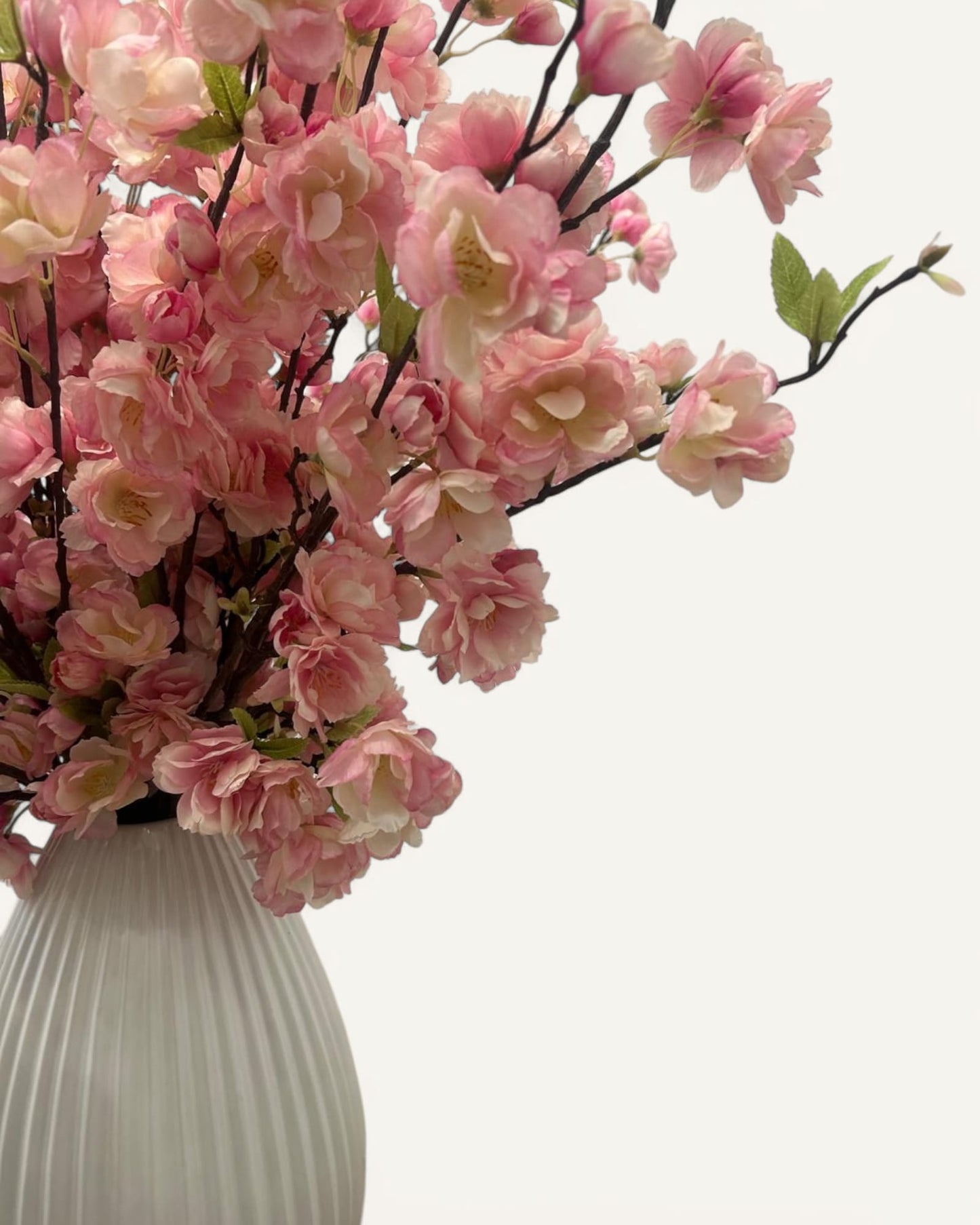 ADELINE CHERRY BLOSSOMS