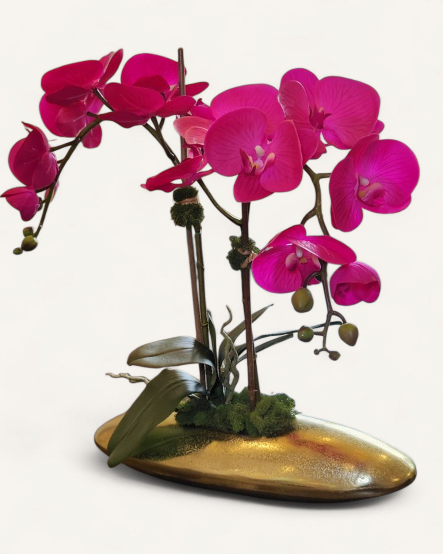 HAILEY FUCHSIA ORCHID