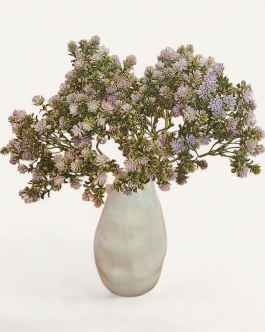 REBECCA LILAC SEDUM
