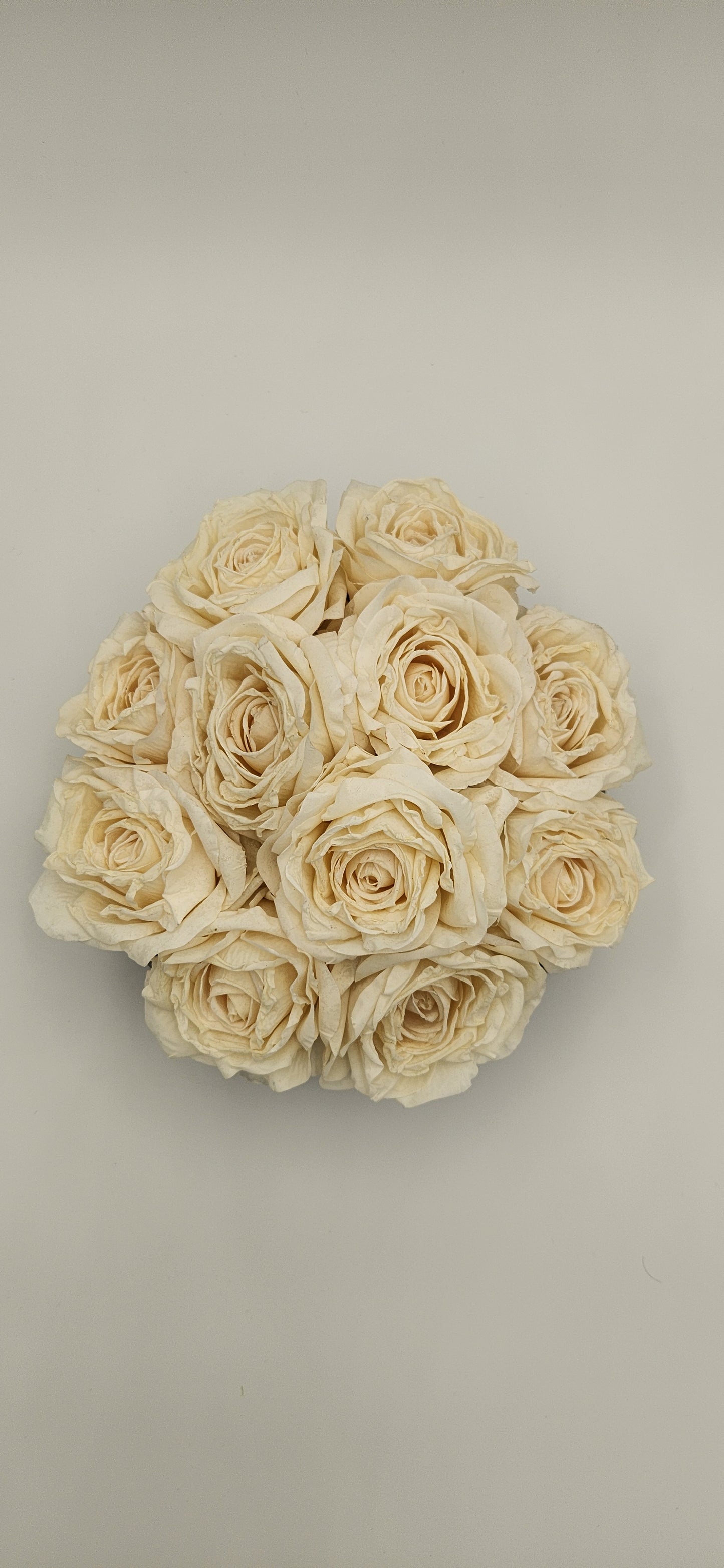 WILLA WHITE REALTOUCH ROSE ARRANGEMENT