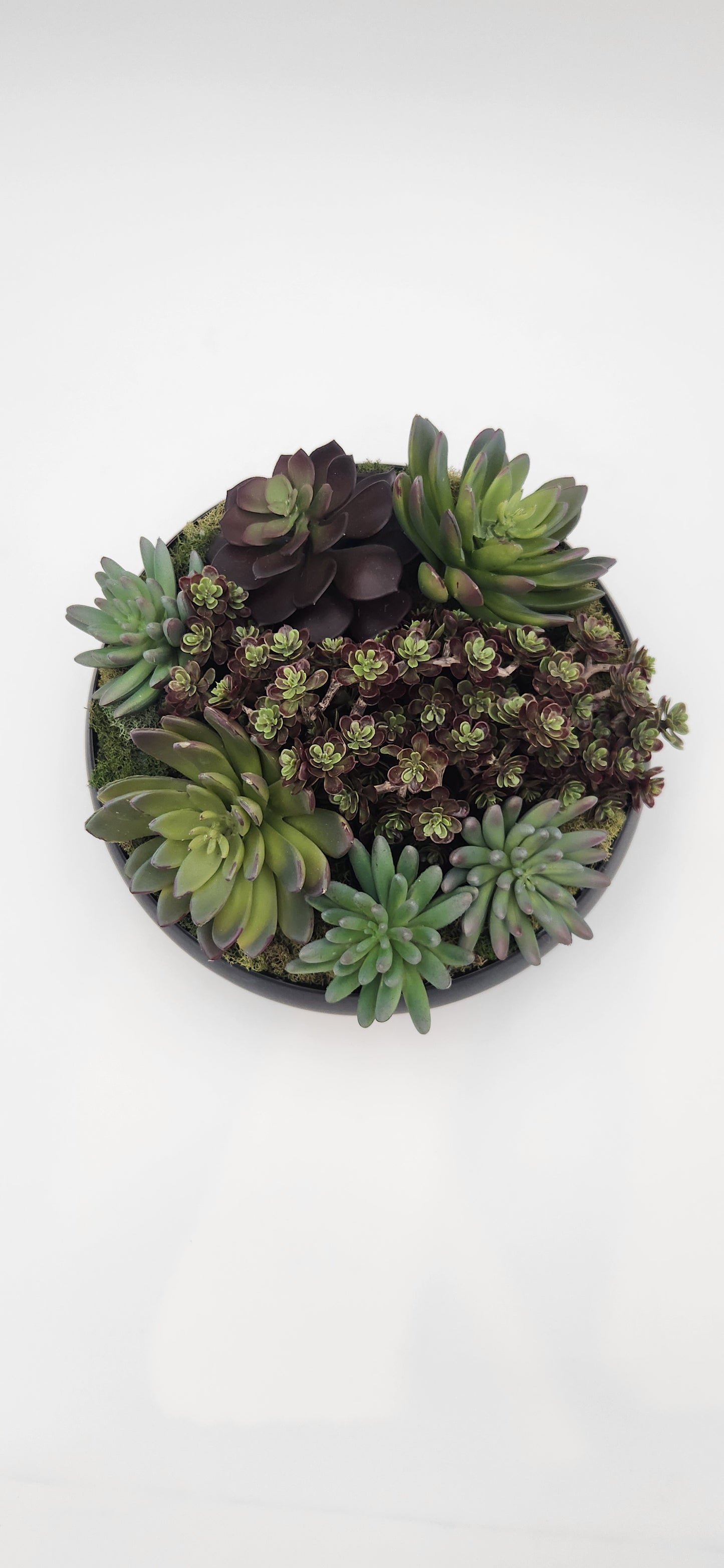 BECKY SUCCULENT ARRANGEMENT