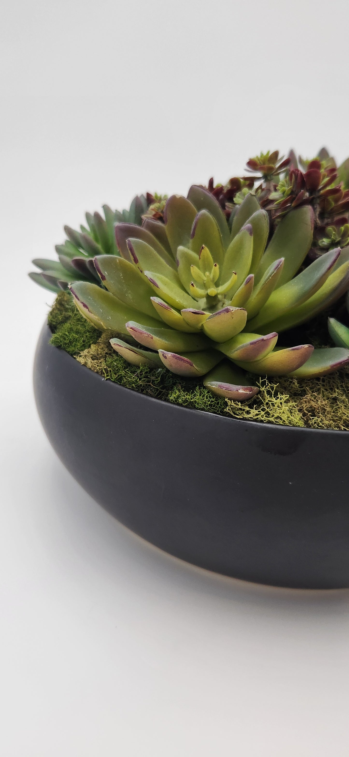 BECKY SUCCULENT ARRANGEMENT