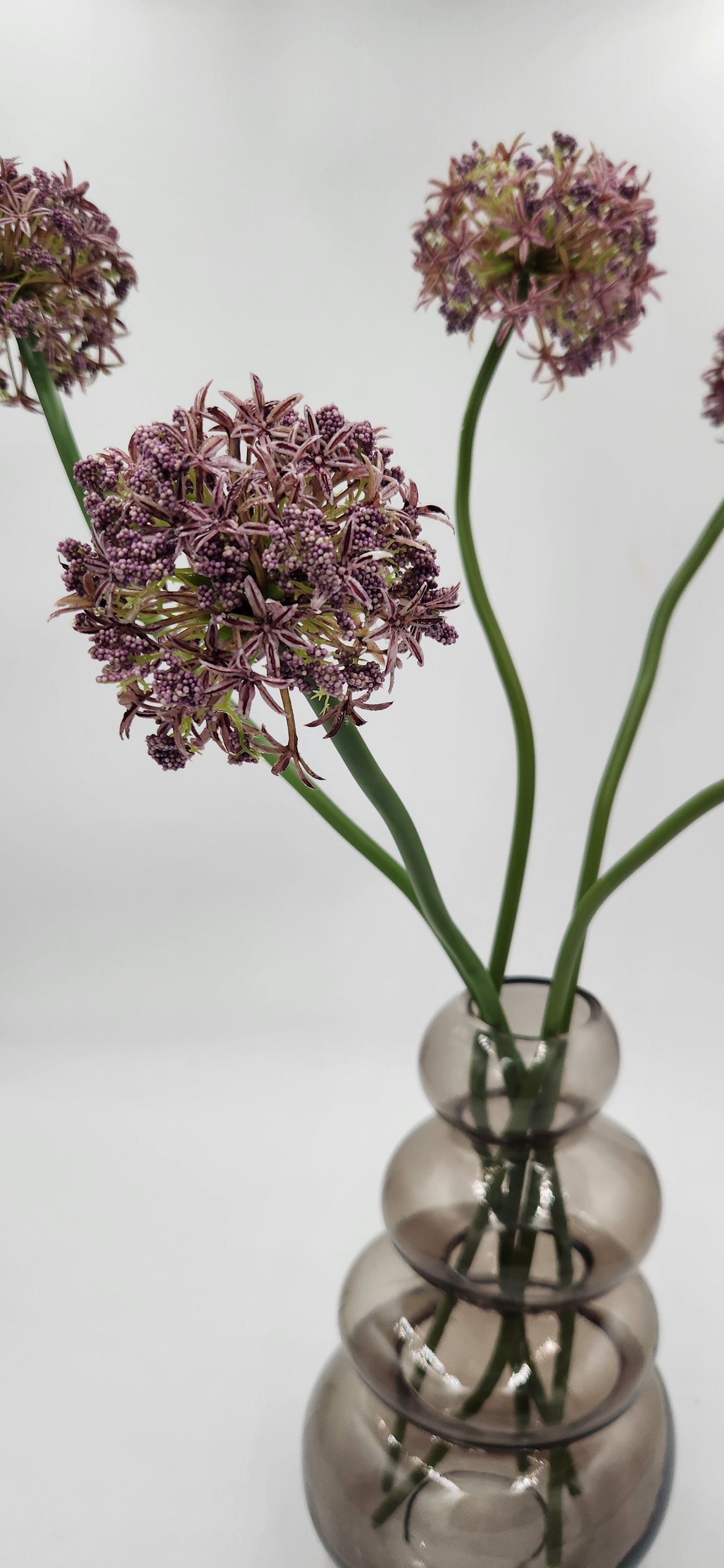 BUBBLE ALLIUM FLORAL