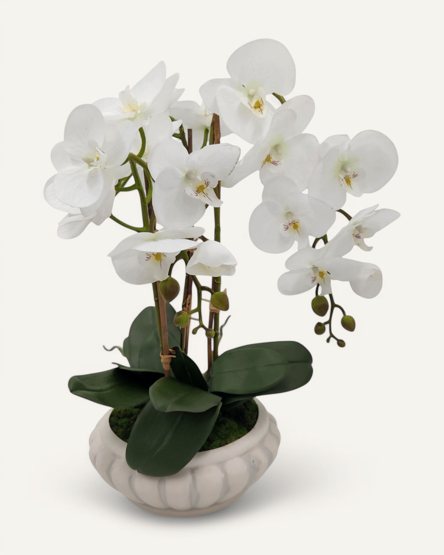 SYDNEY SCALLOPED REALTOUCH ORCHID