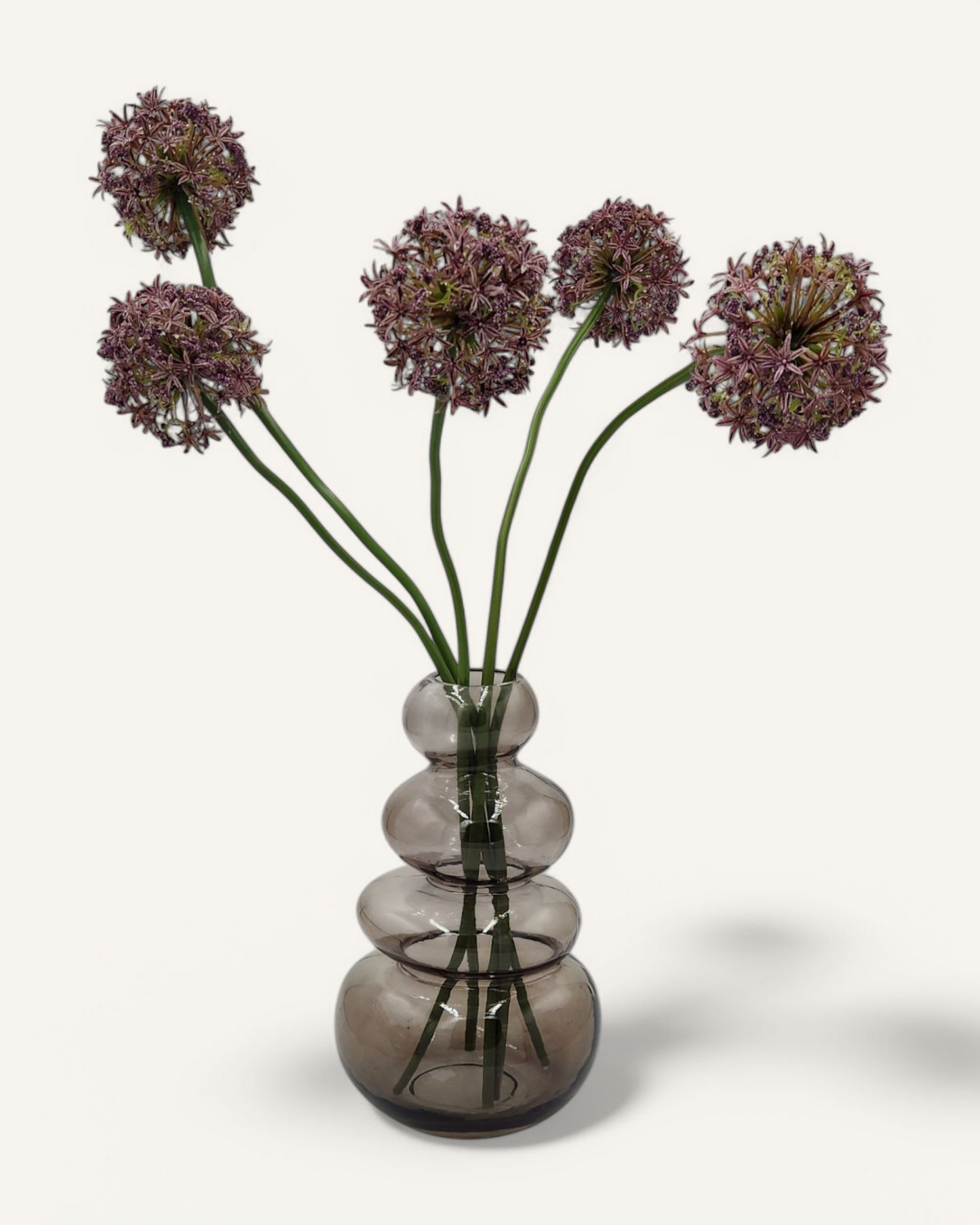 BUBBLE ALLIUM FLORAL