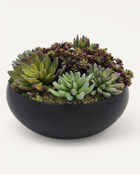 BECKY SUCCULENT ARRANGEMENT