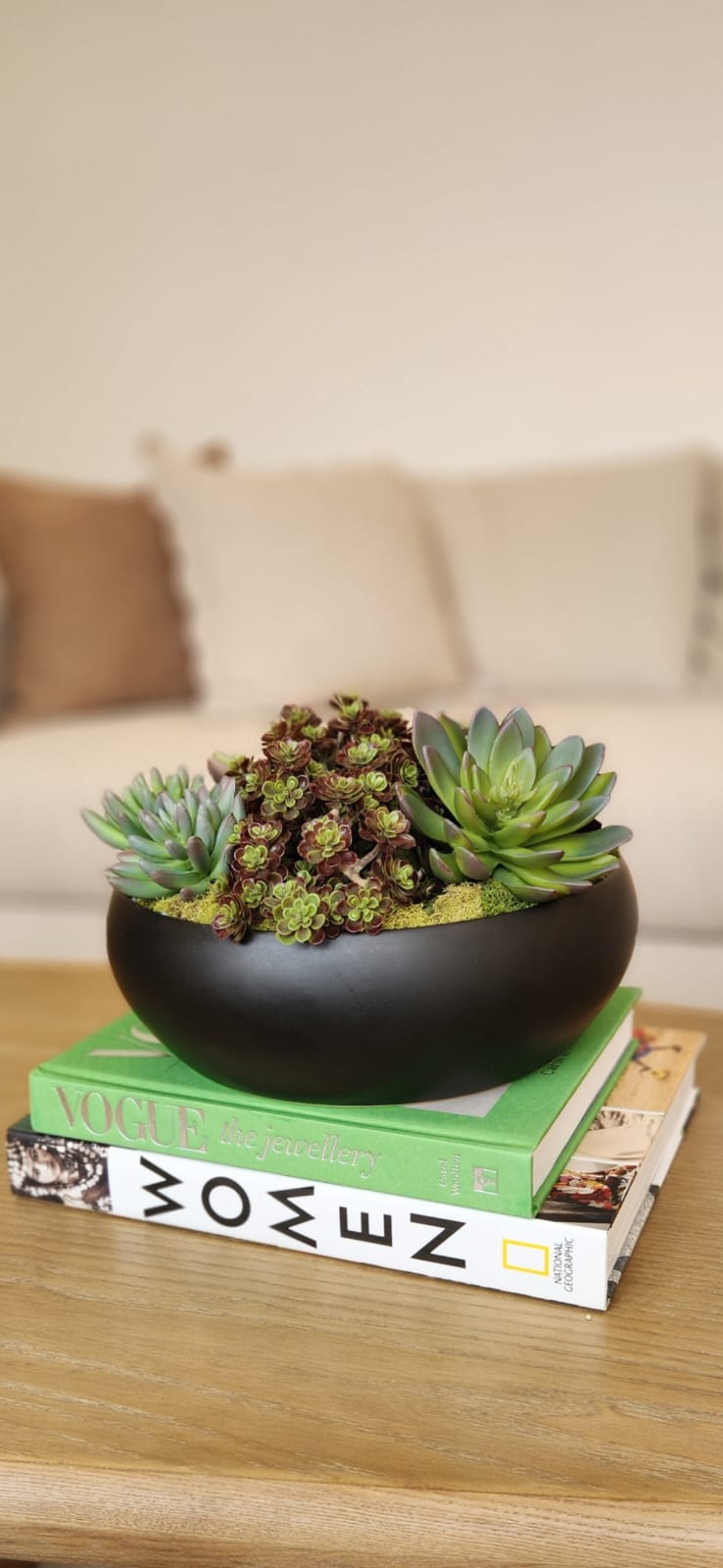 BECKY SUCCULENT ARRANGEMENT