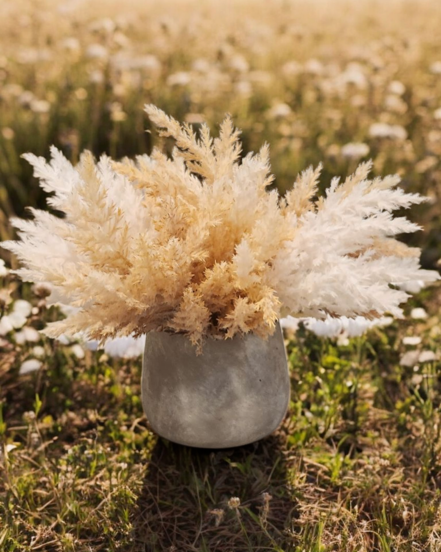 EMMIE CERAMIC PAMPAS