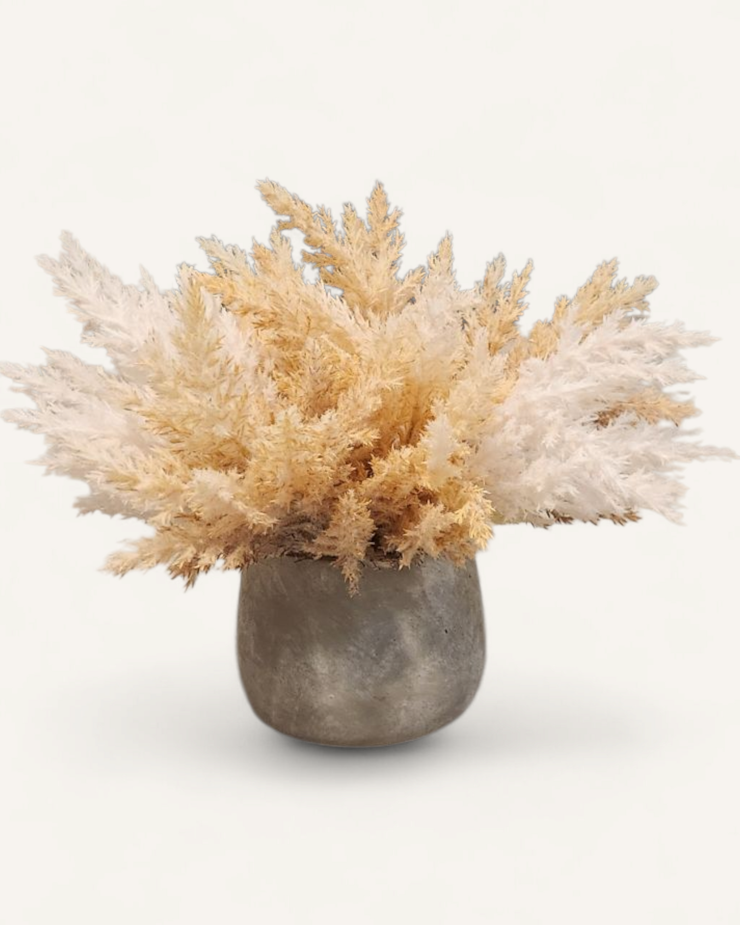 EMMIE CERAMIC PAMPAS