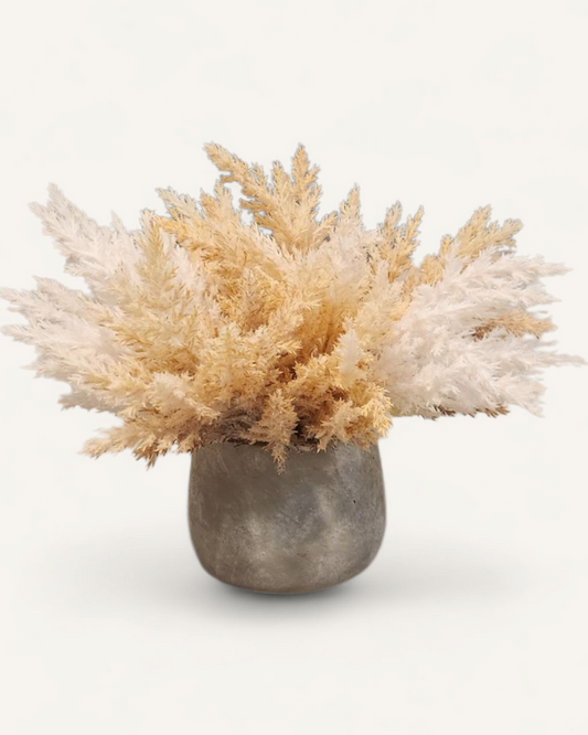 EMMIE CERAMIC PAMPAS