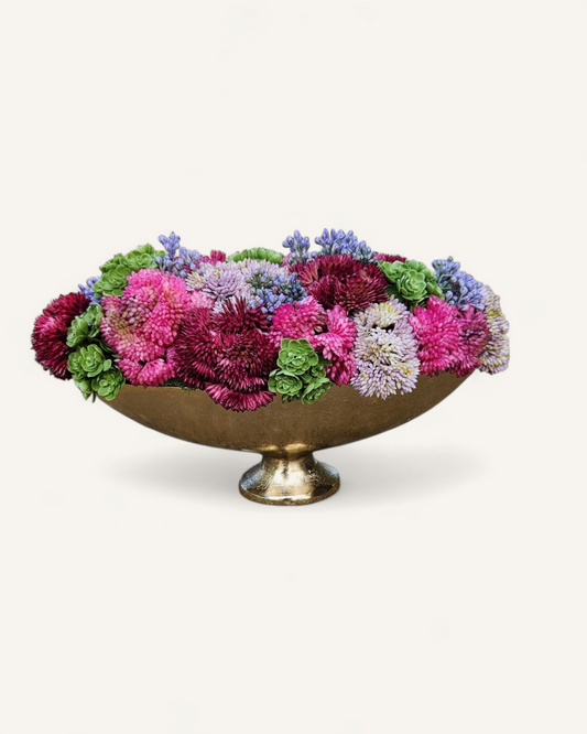 GOLD PEDESTAL SEDUM